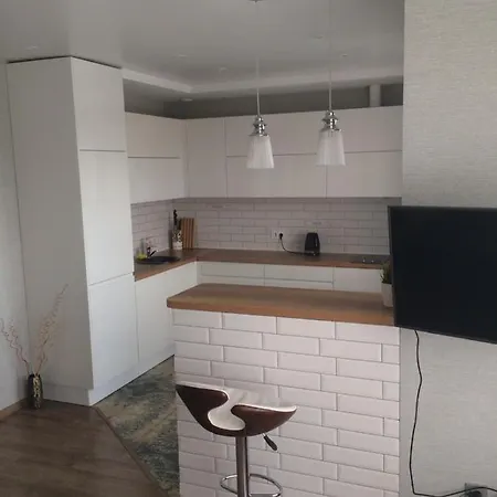 Apartment Repina 4